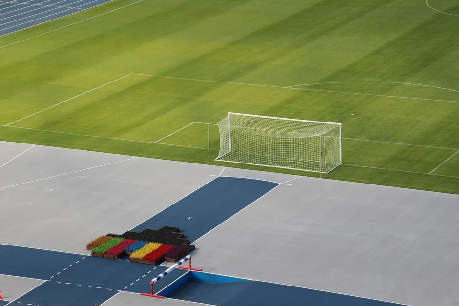 FIFA世界杯 · 体育 5